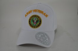 ARMY VETERAN ARCHED